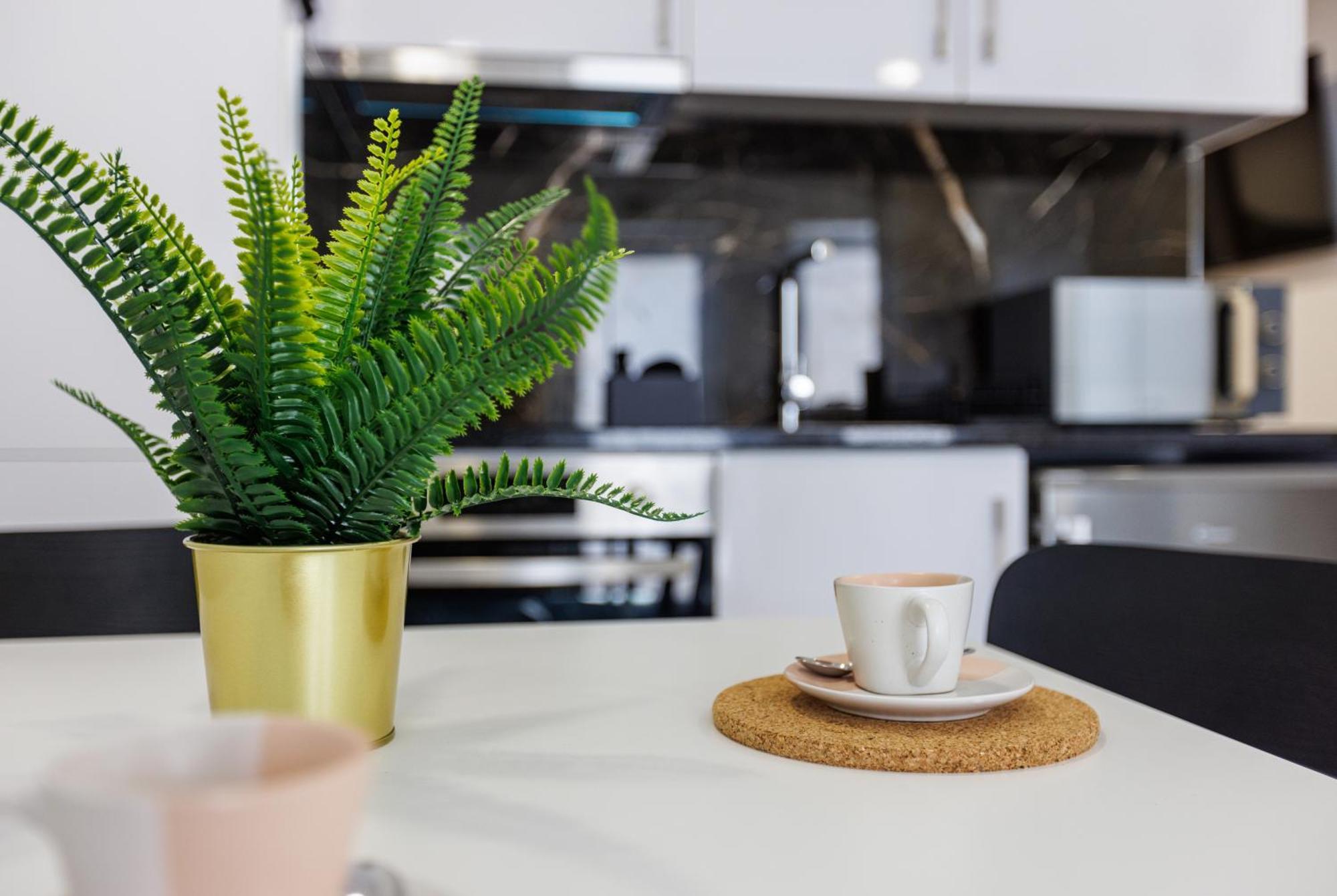 Live In Aveiro Rossio Apartment ภายนอก รูปภาพ